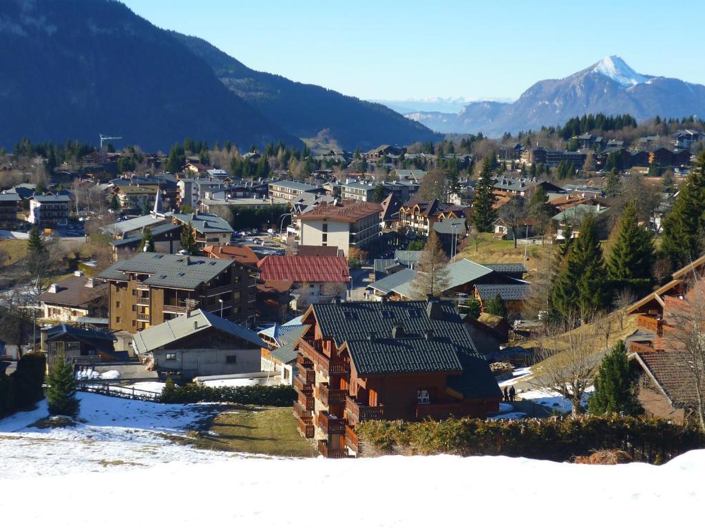 Demi-Chalet Le Bief --Prox Pistes Ле-Карроз-д'Араш Экстерьер фото